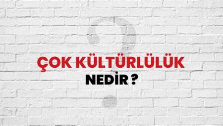 Eğitimde Kültürel Çeşitlilik ve Çok Kültürlülük