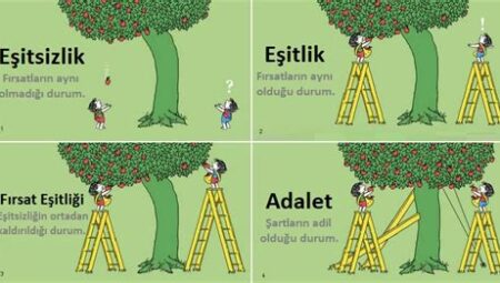 Eğitimde Sosyal Adalet ve Eşitlik